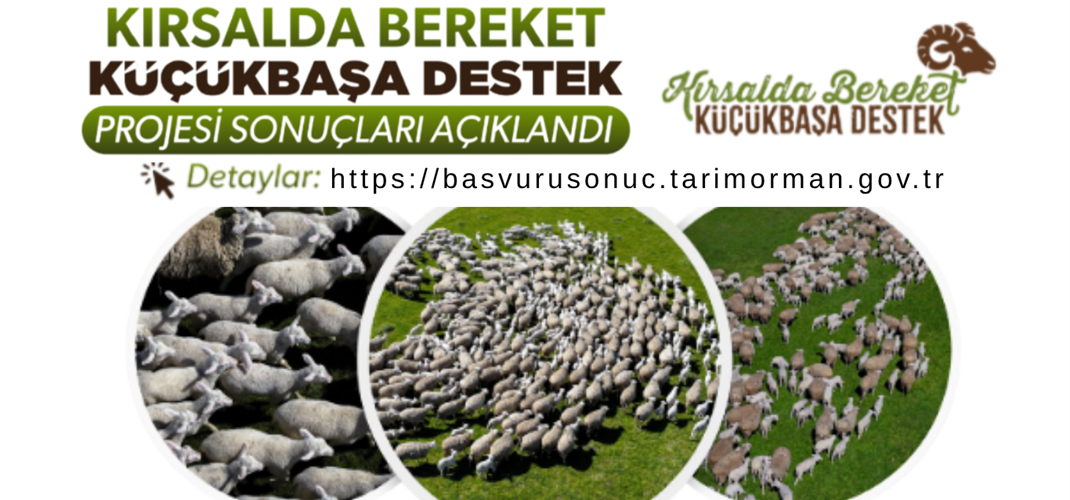 Kırsalda Bereket Küçükbaş Hayvancılığa Destek Projesi Başvuruları Sonuçlandı.