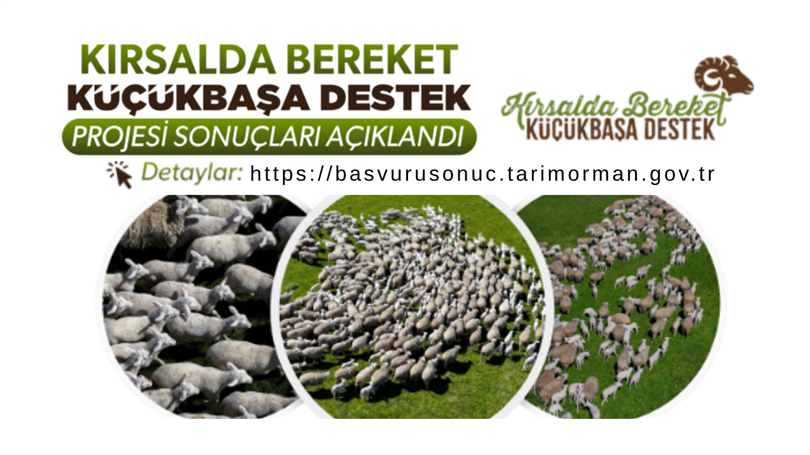 Kırsalda Bereket Küçükbaş Hayvancılığa Destek Projesi Başvuruları Sonuçlandı.